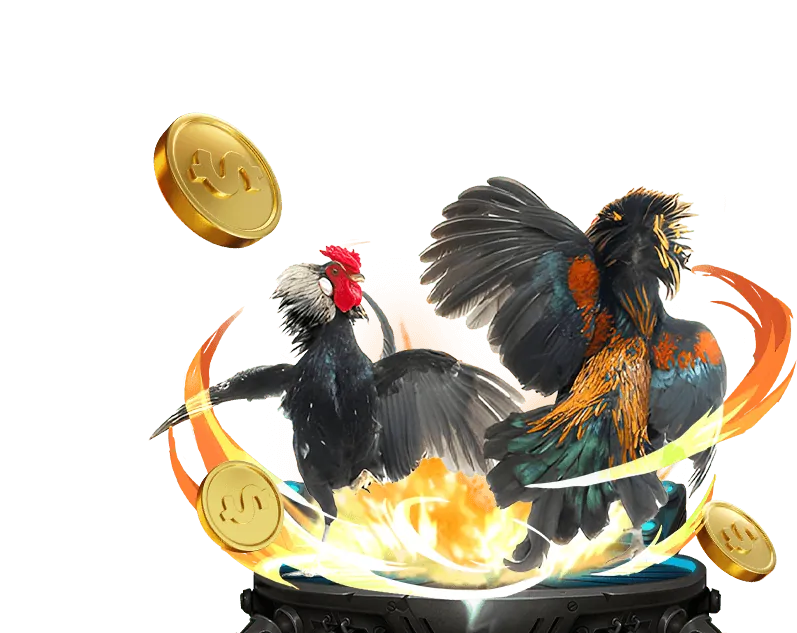 Các trò chơi khác rr88